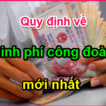 Mức đóng đoàn phí công đoàn, kinh phí công đoàn năm 2023?